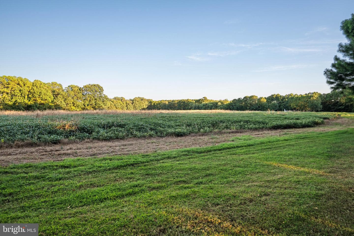 24390 Deep Neck Farm Lane photo 106