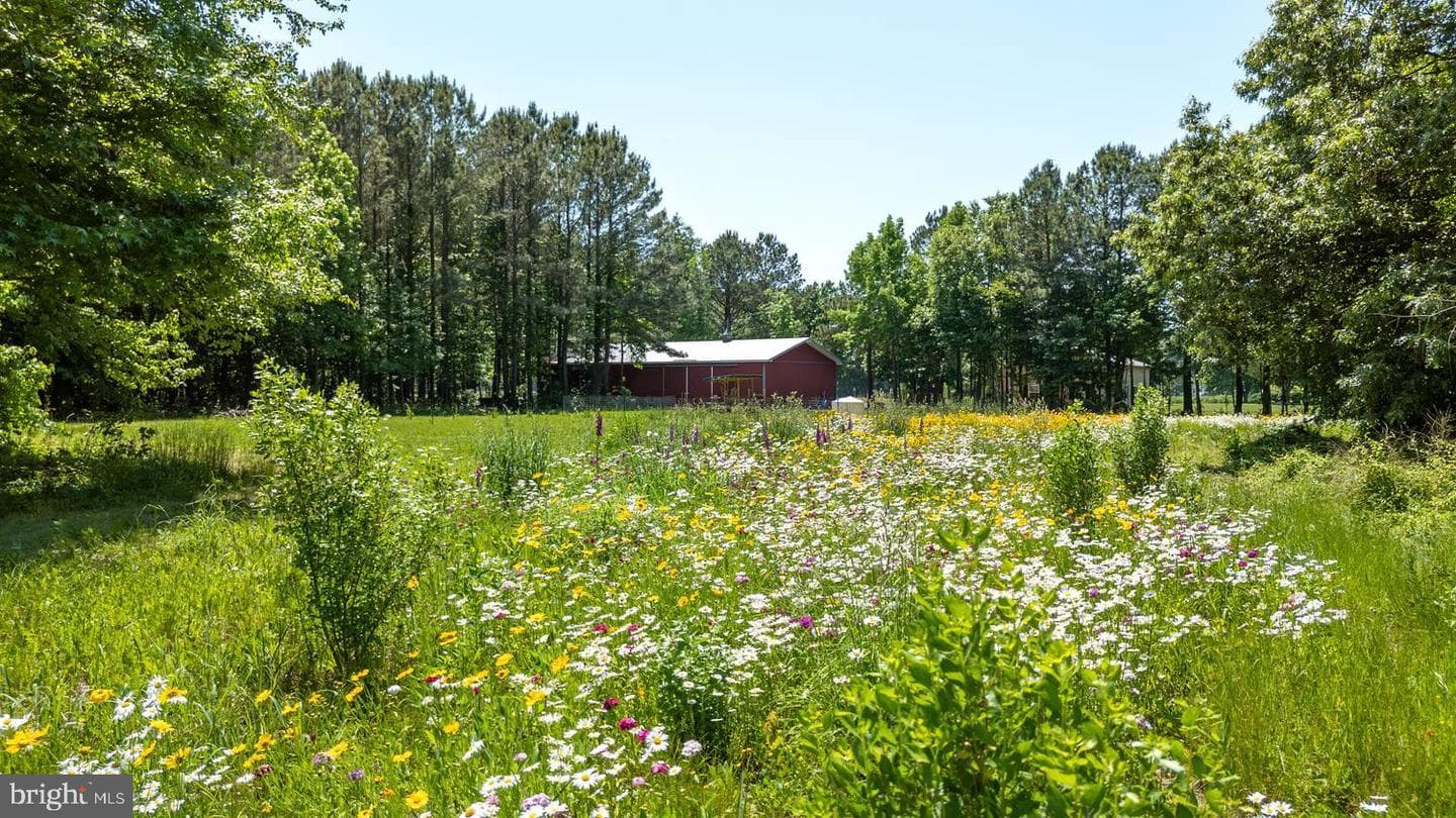 25610 Chance Farm Court photo 42