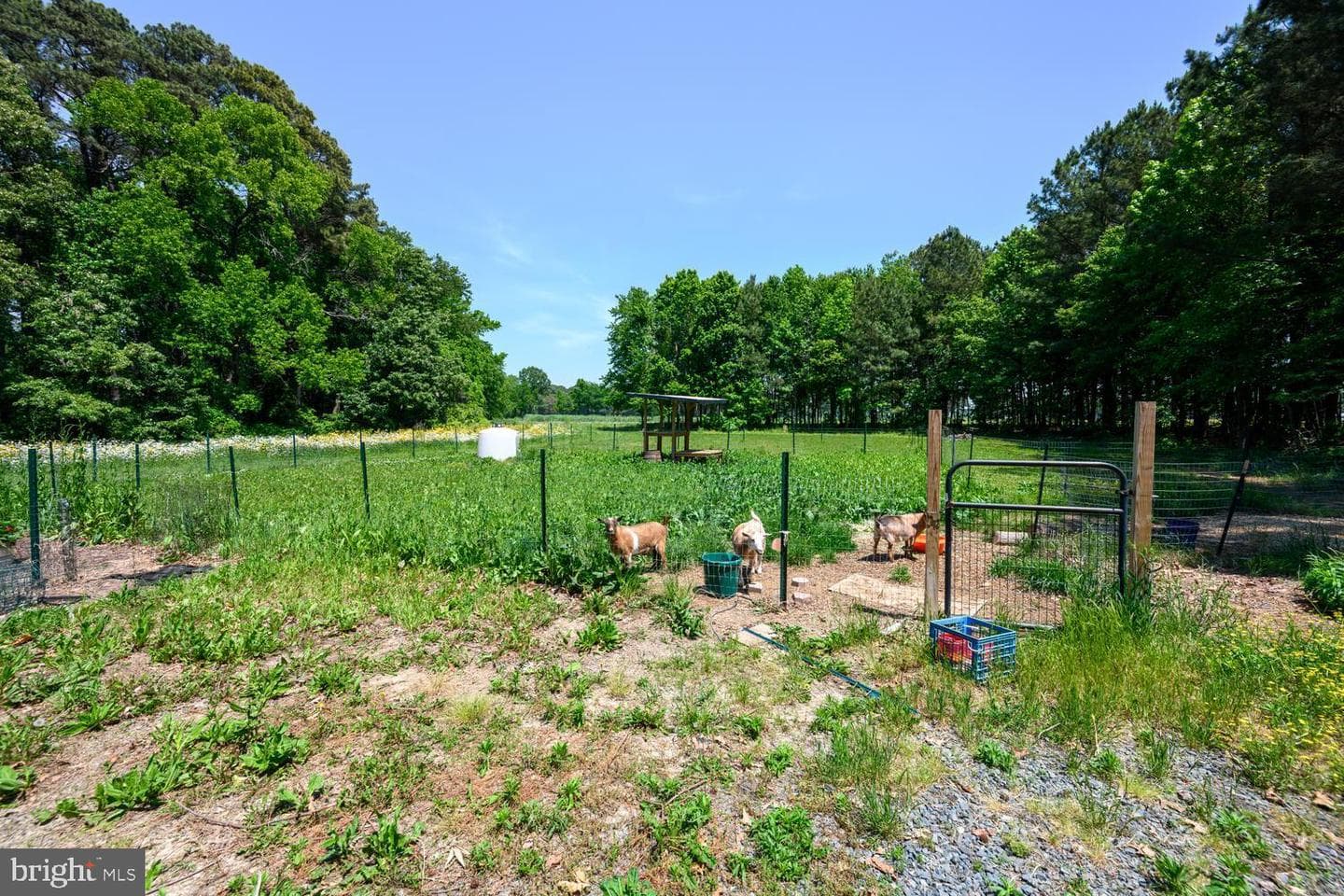 25610 Chance Farm Court photo 46