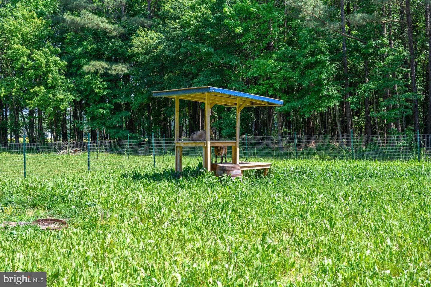 25610 Chance Farm Court photo 51