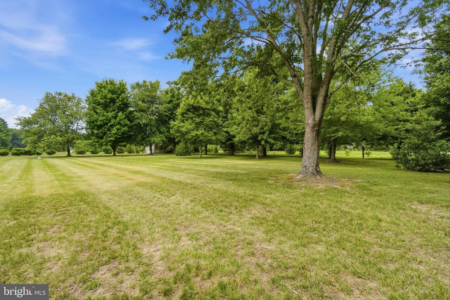 30050 Beaver Dam Road photo 5