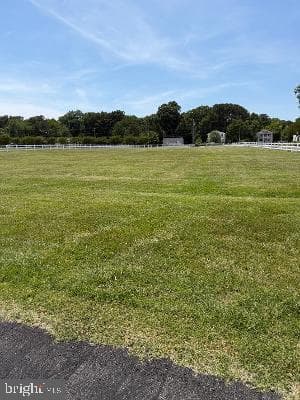 21441 Dogwood Cove Road photo 10