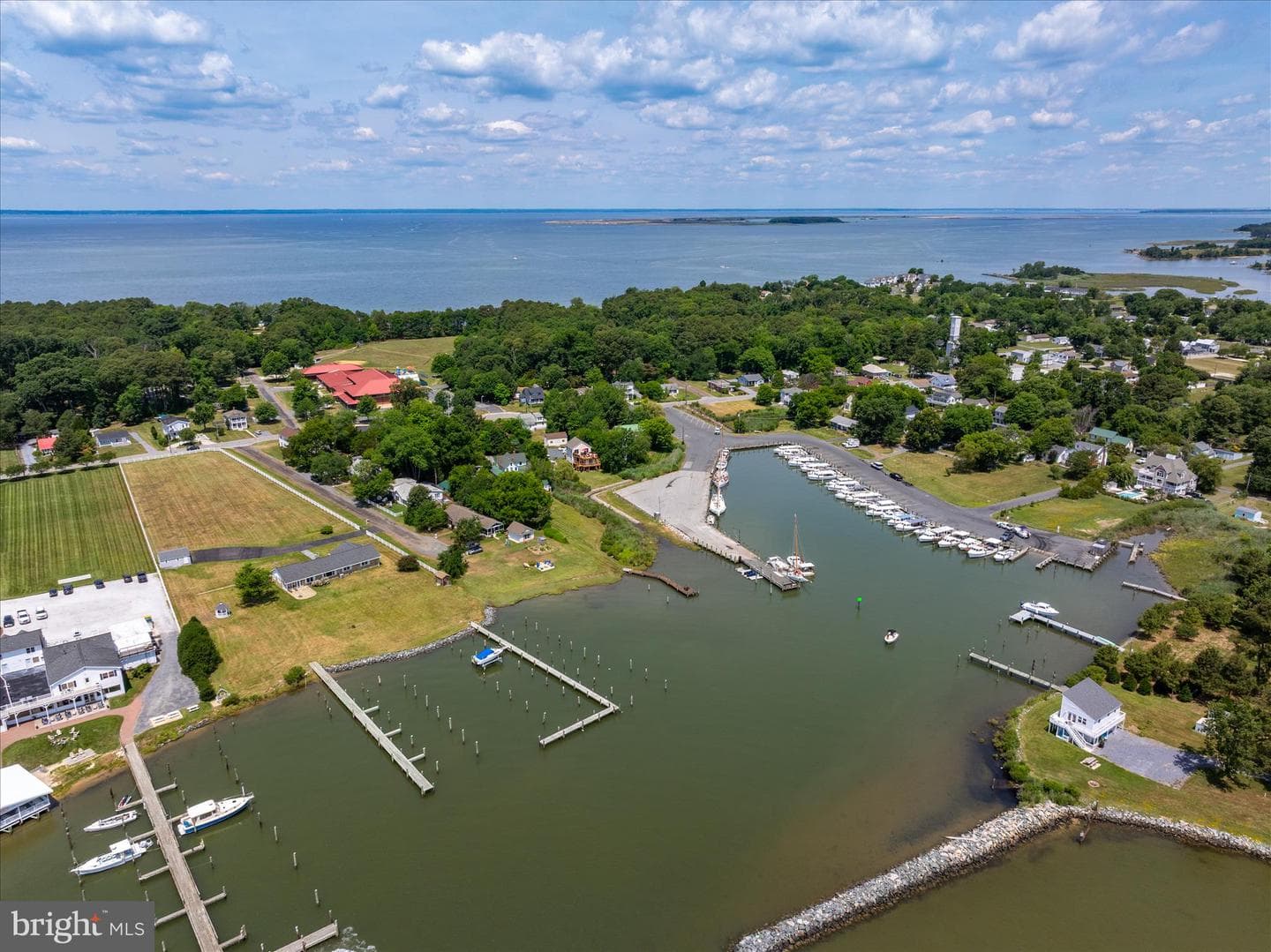 21441 Dogwood Cove Road photo 112