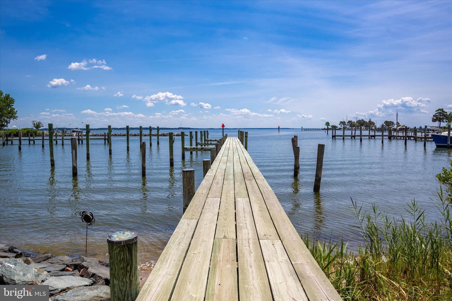 21441 Dogwood Cove Road photo 15