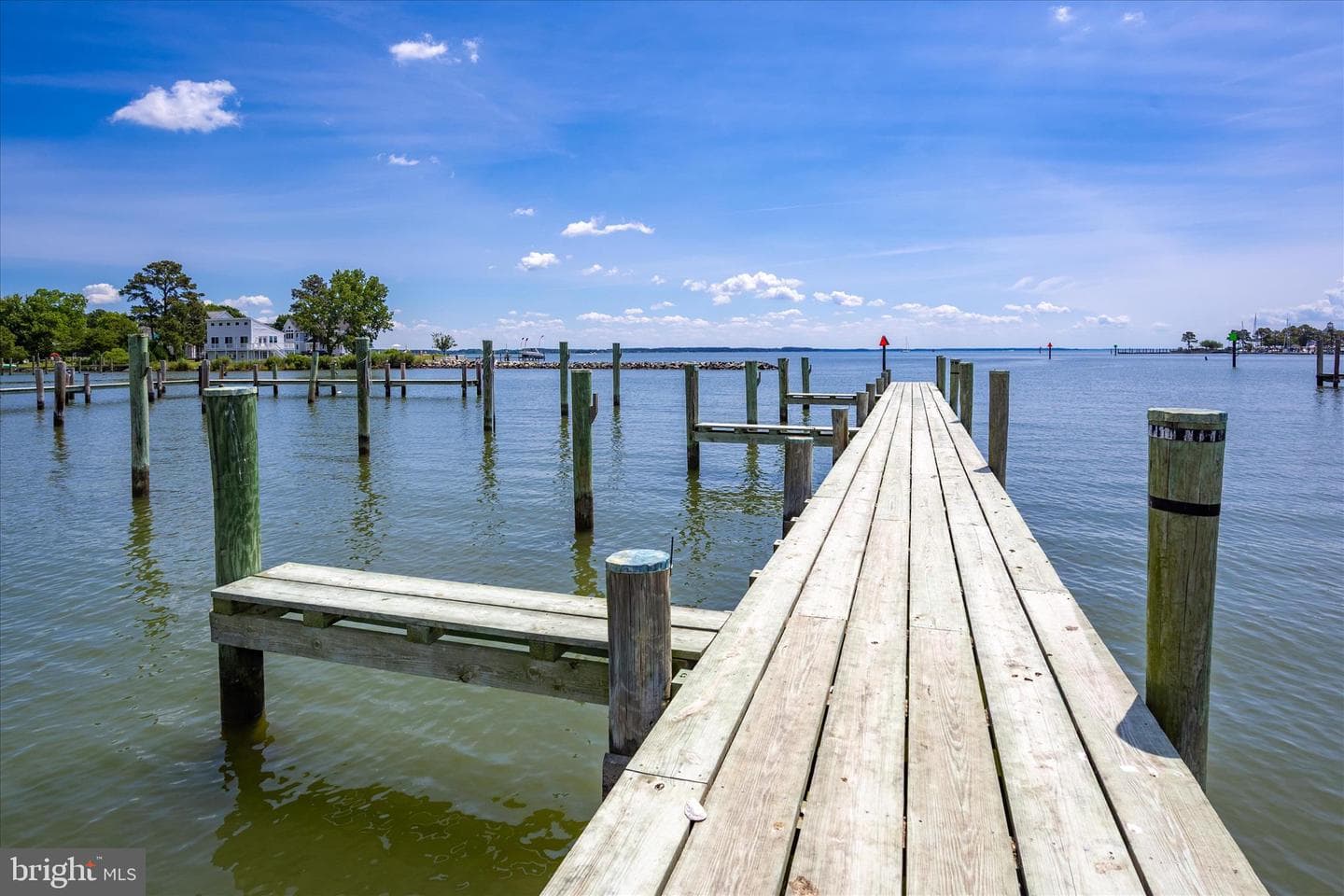 21441 Dogwood Cove Road photo 88