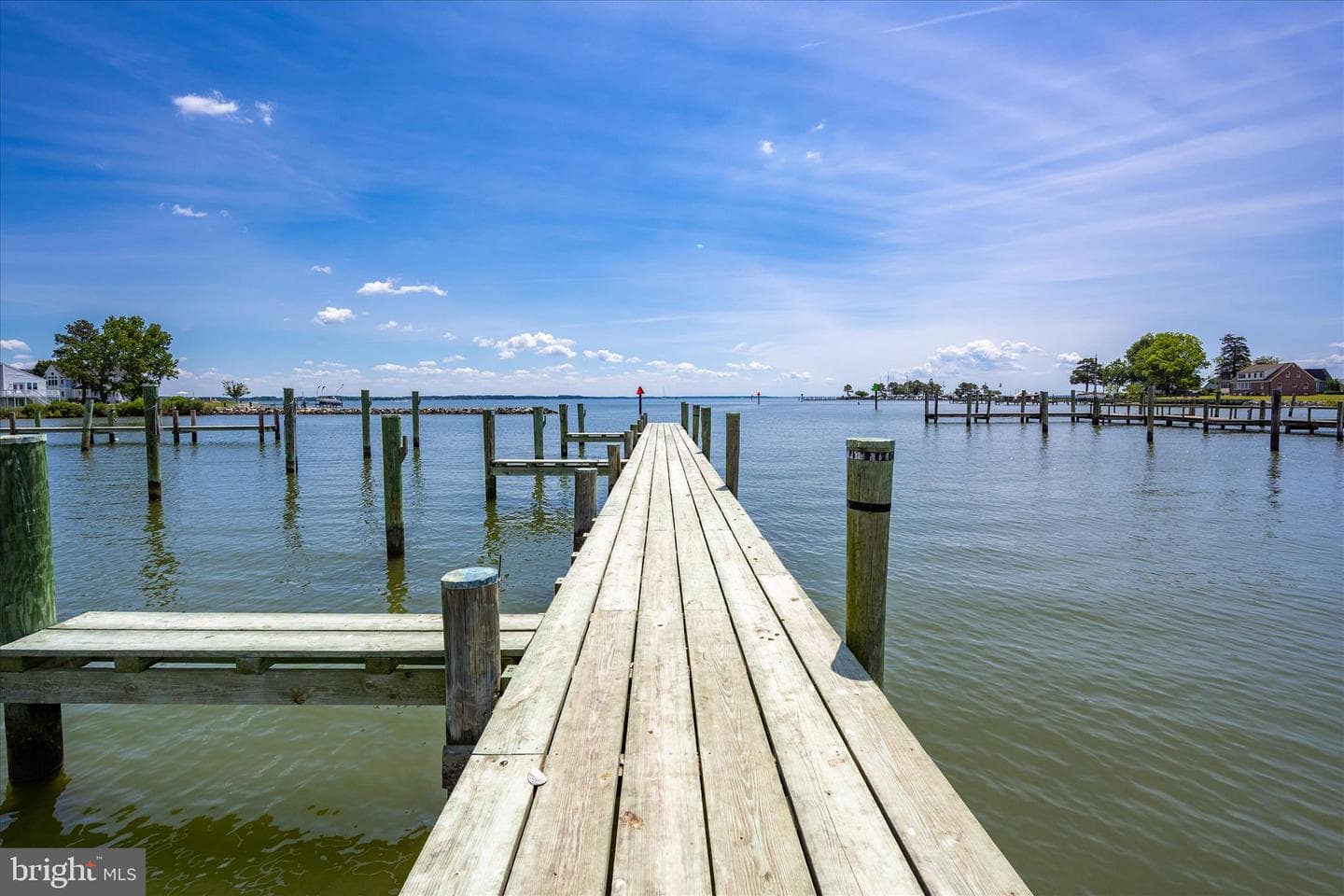 21441 Dogwood Cove Road photo 89