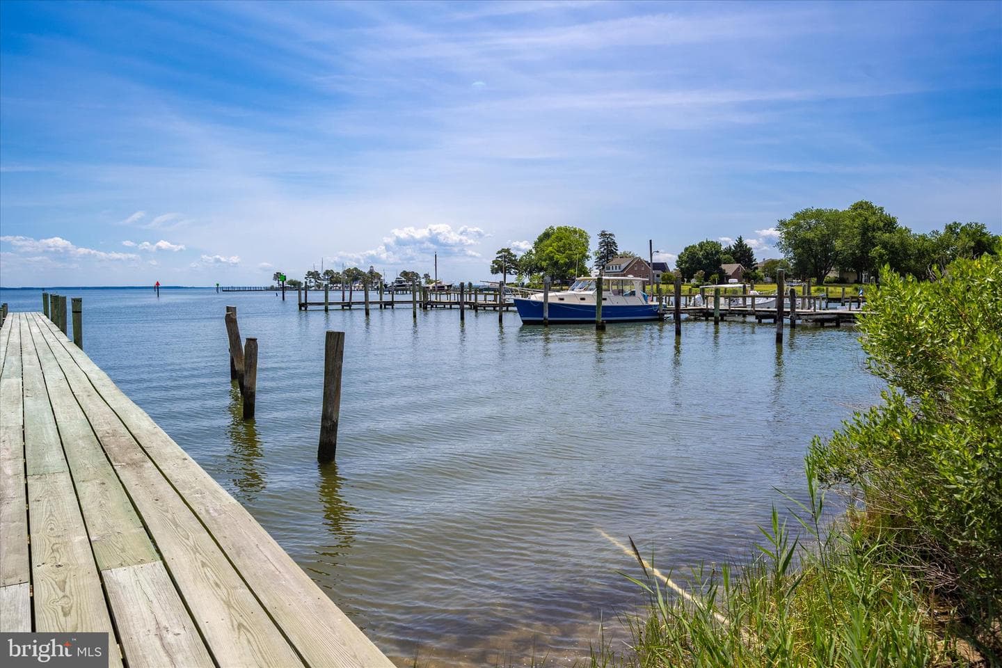 21441 Dogwood Cove Road photo 94