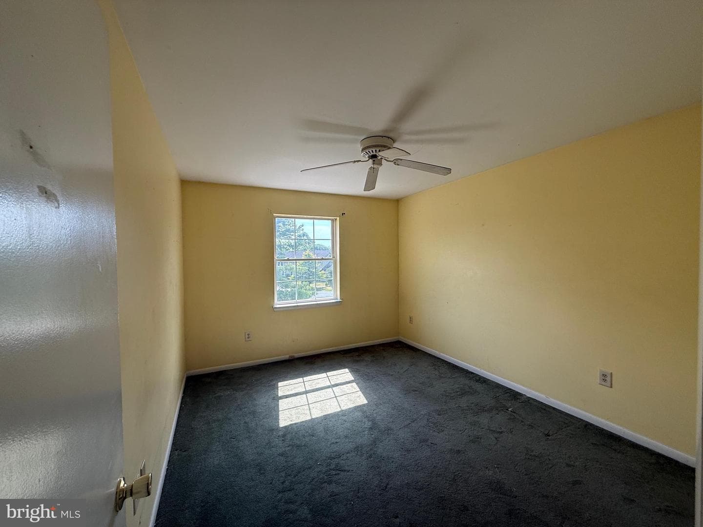 29595 Dutchmans Lane #603 photo 17