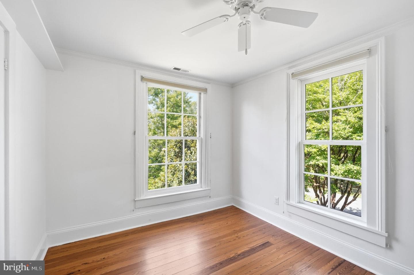 104 Myrtle Street photo 36