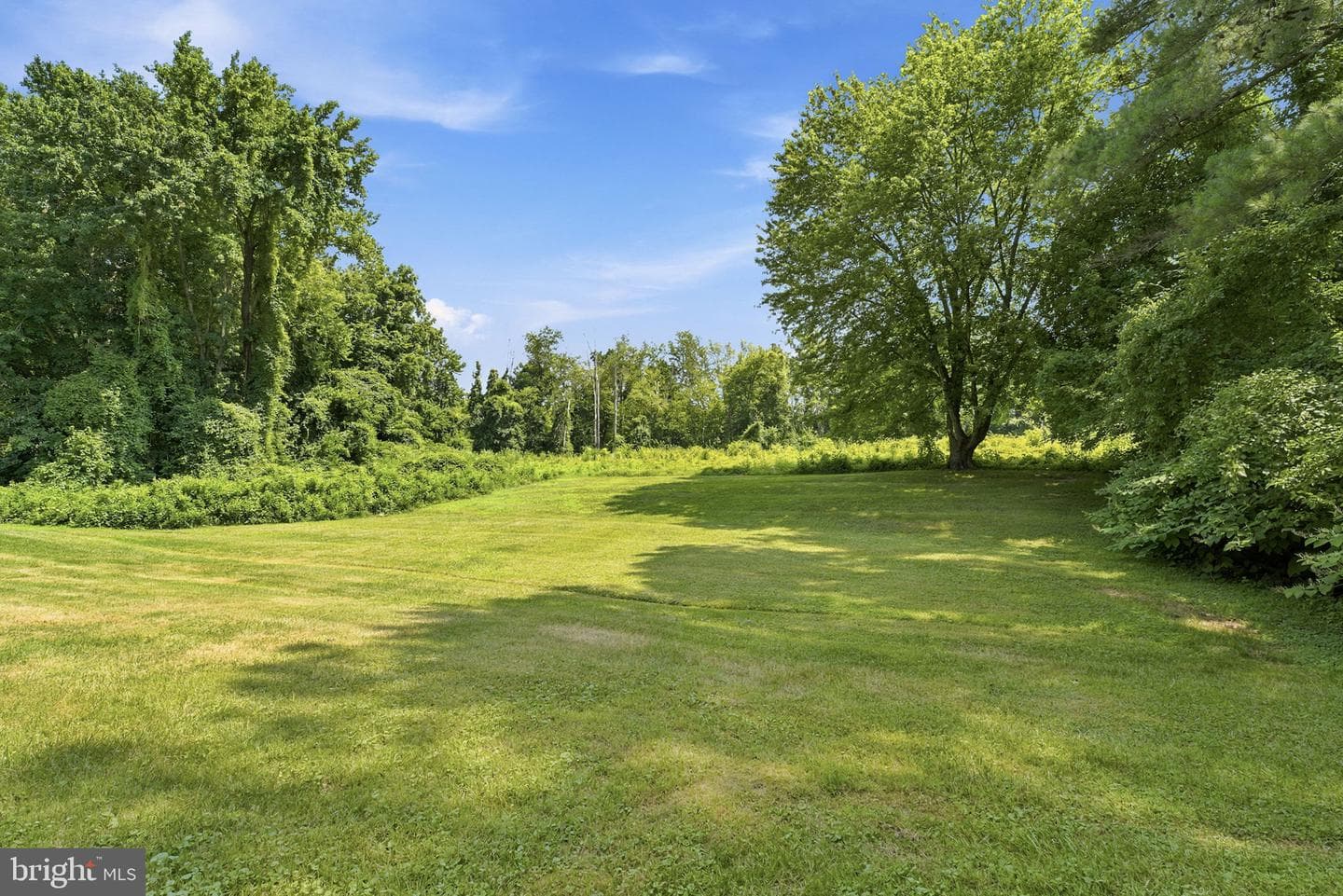 29328 Dutchmans Lane photo 8