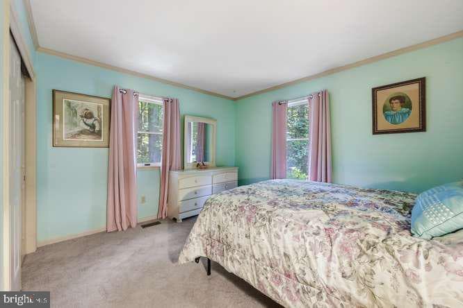 11598 Malvern Lane photo 17