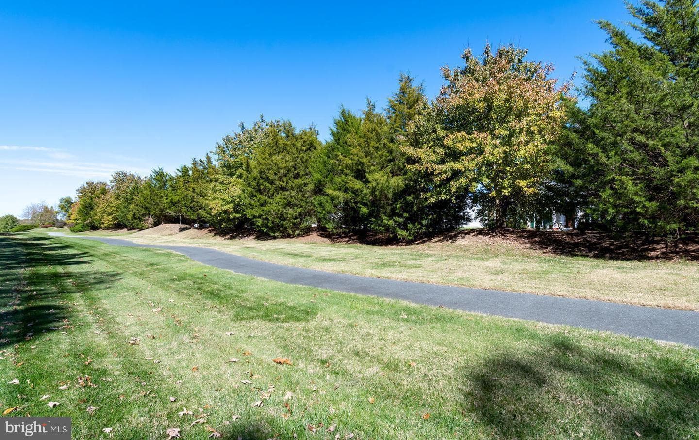 7466 Karen Avenue photo 10