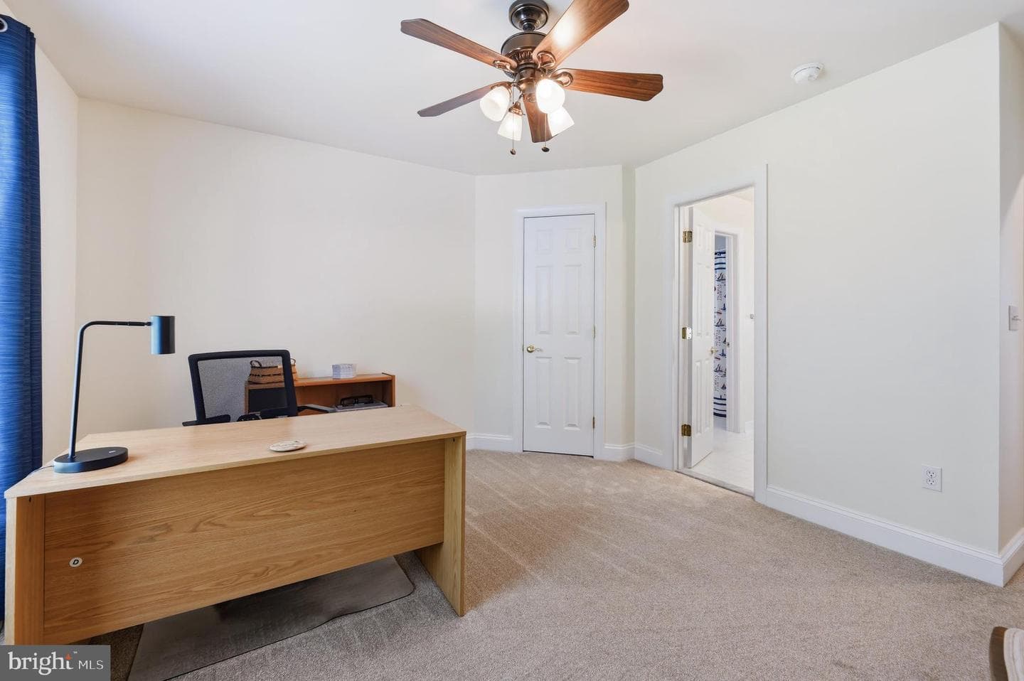 13446 Blackberry Lane photo 43