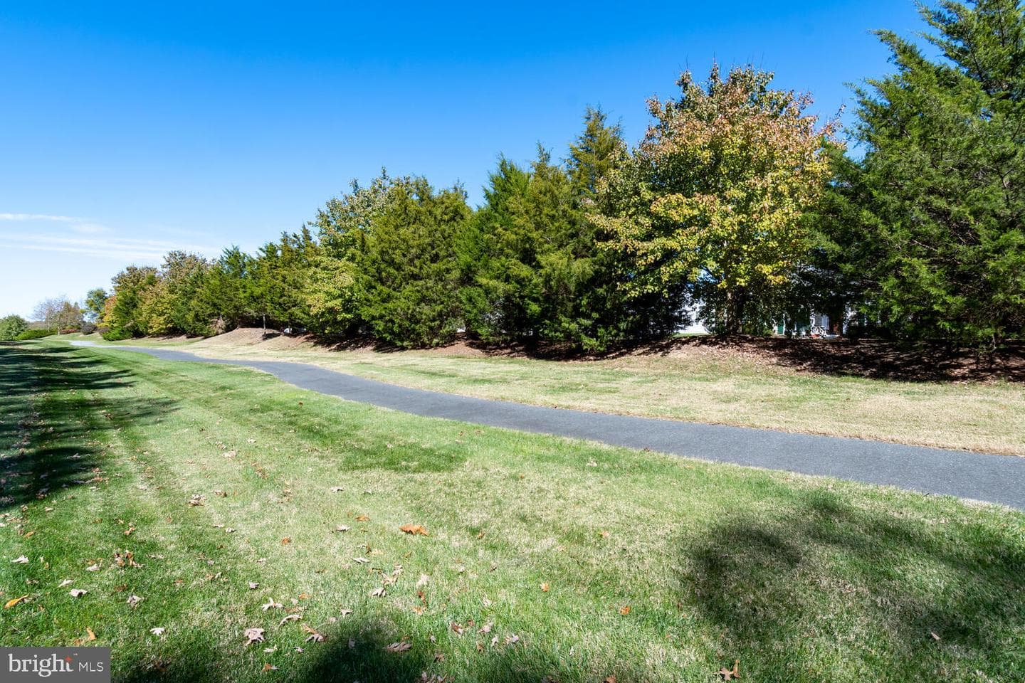 29689 Lyons Drive photo 43