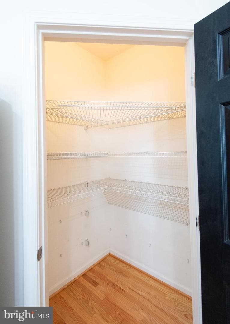 300 Dixon Street #505 photo 16