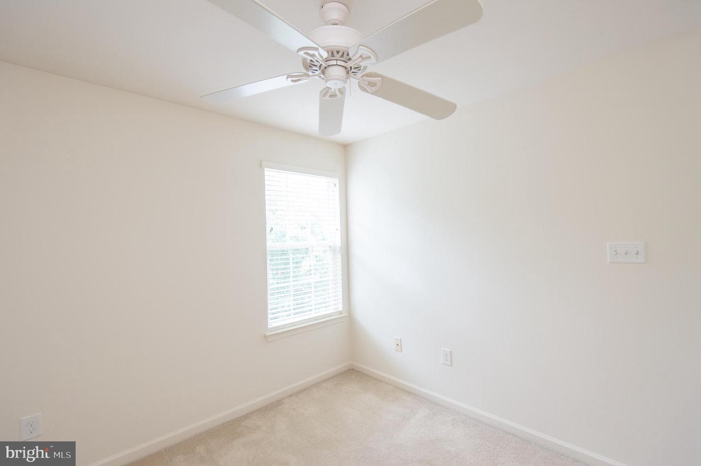 300 Dixon Street #505 photo 19