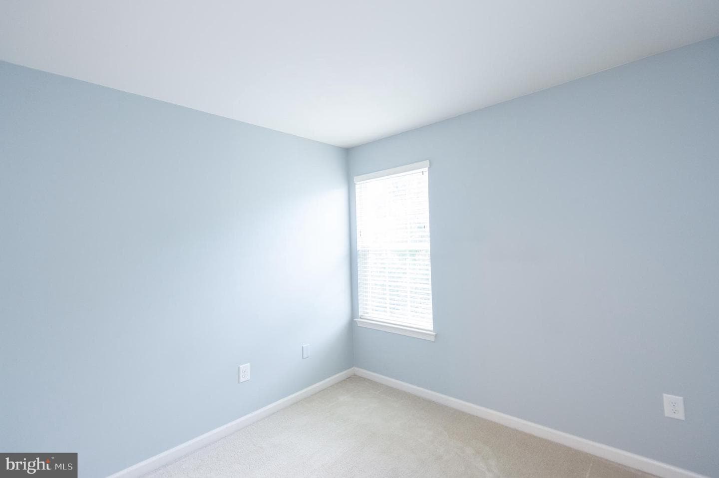 300 Dixon Street #505 photo 25