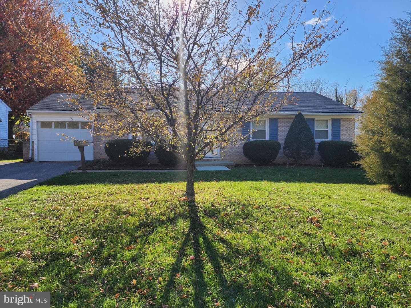 963 Noland Drive photo 5