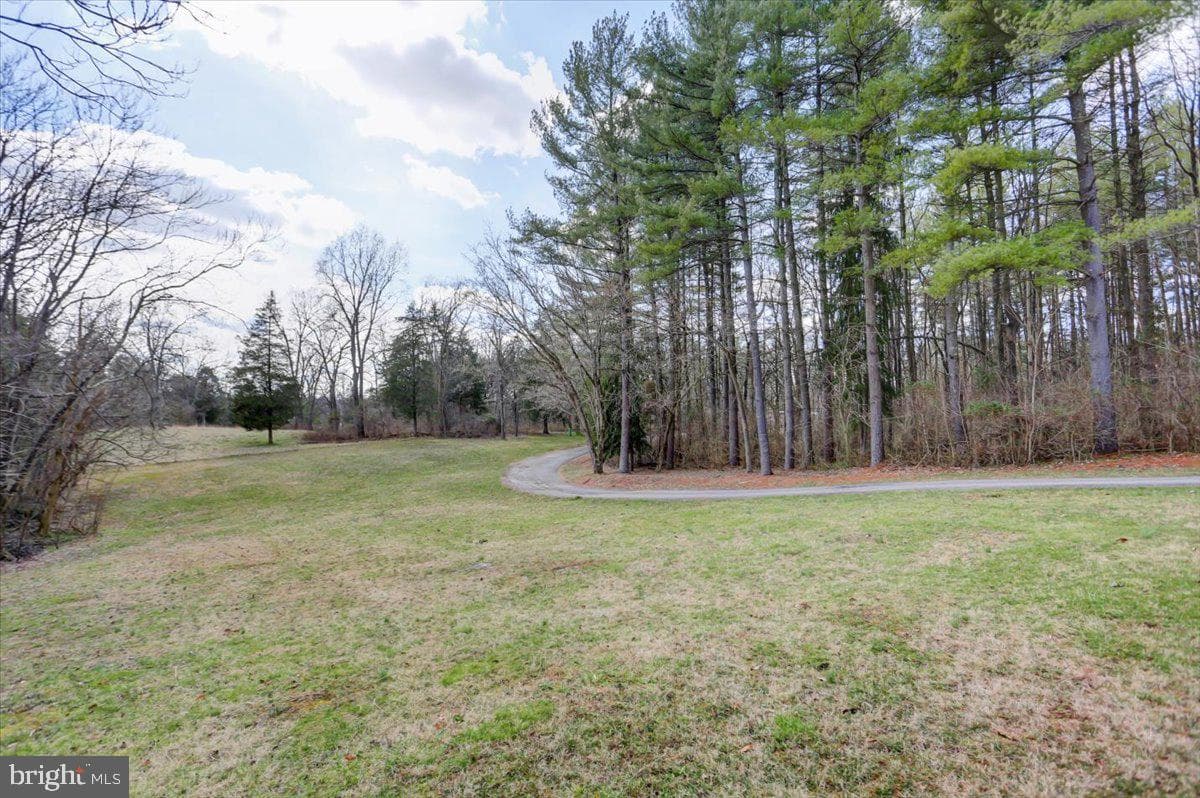 15530 Mobile Road photo 29