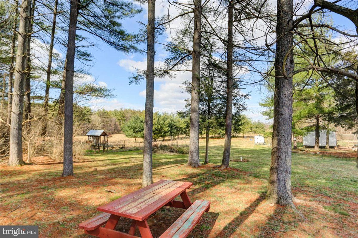 15530 Mobile Road photo 34