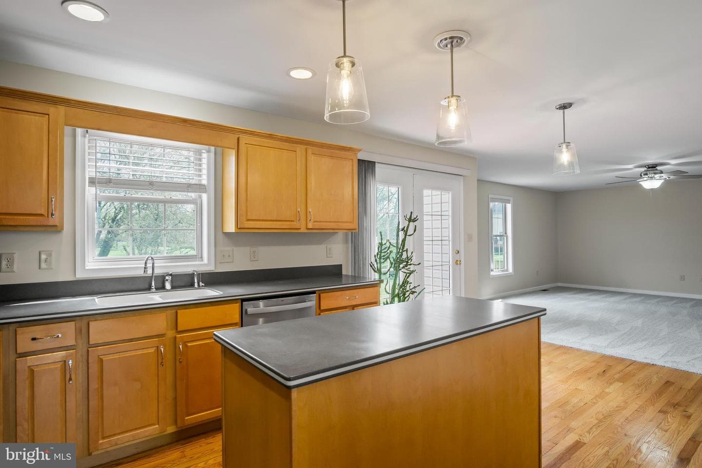 13405 Chads Terrace photo 13