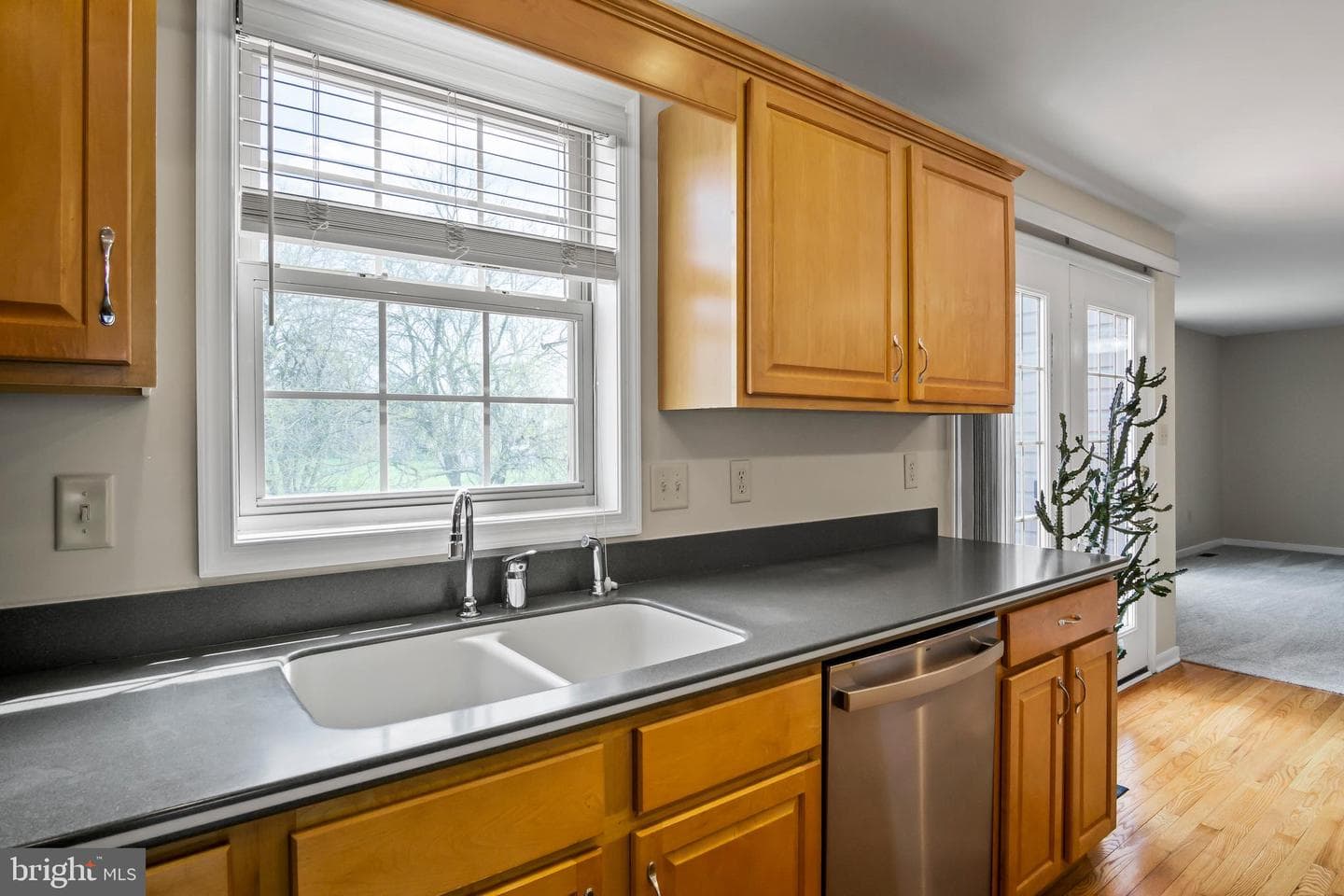 13405 Chads Terrace photo 17