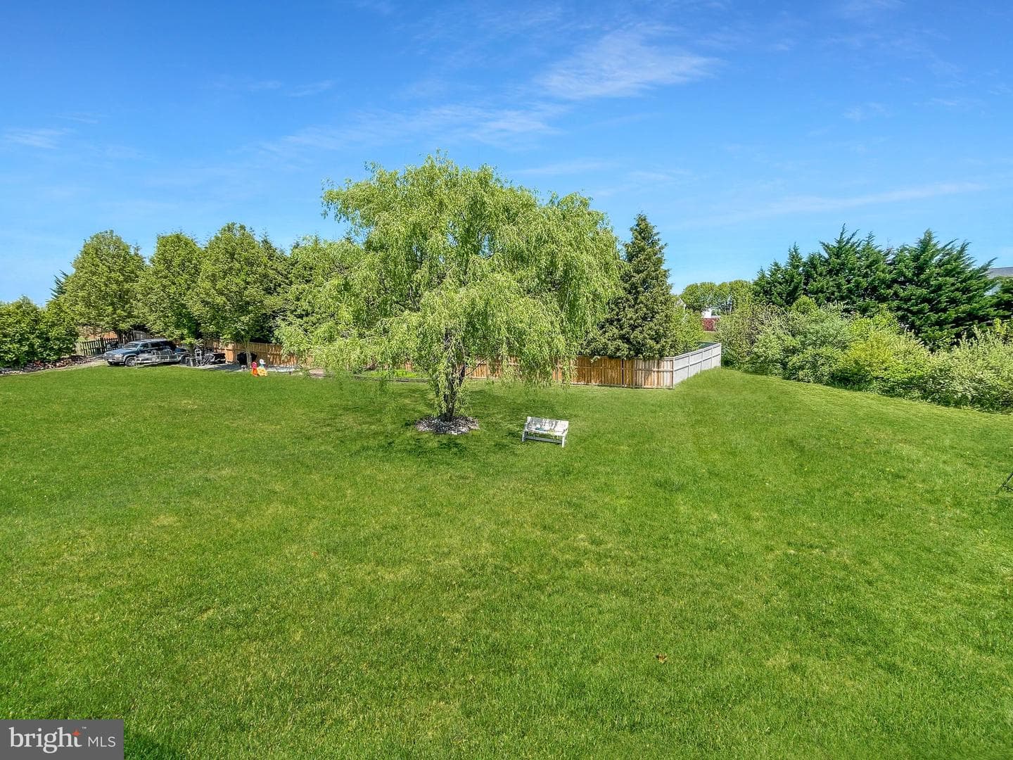 11838 White Pine Drive photo 3