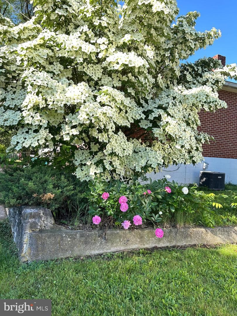 20 Frederick Road photo 32
