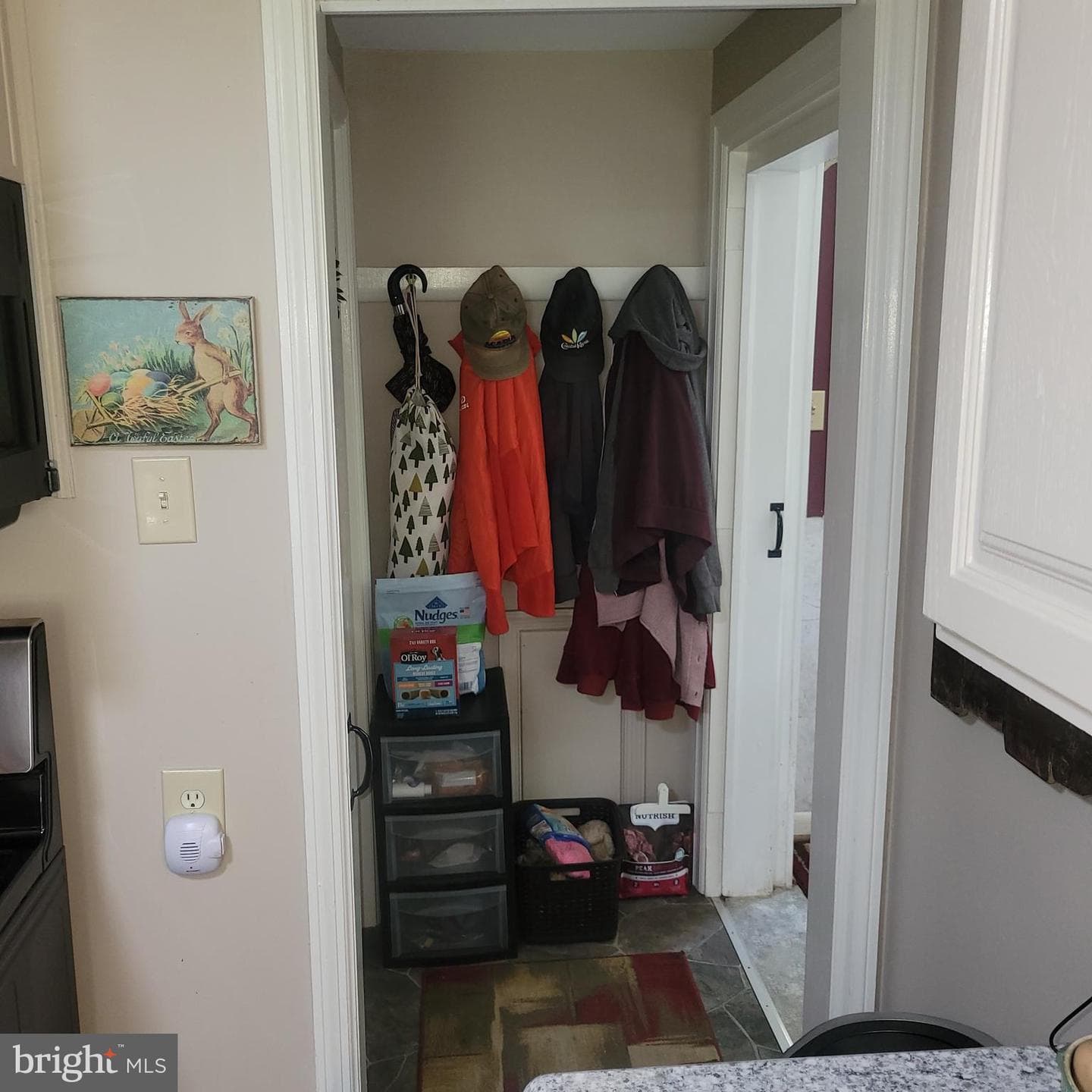 11919 Mapleville Road photo 7