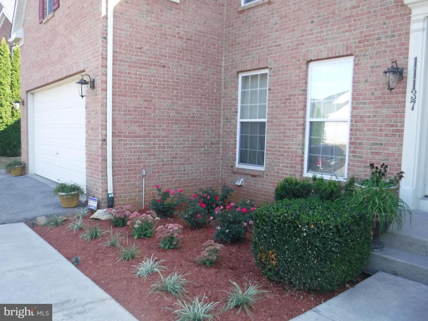 11137 Suffolk Drive photo 4