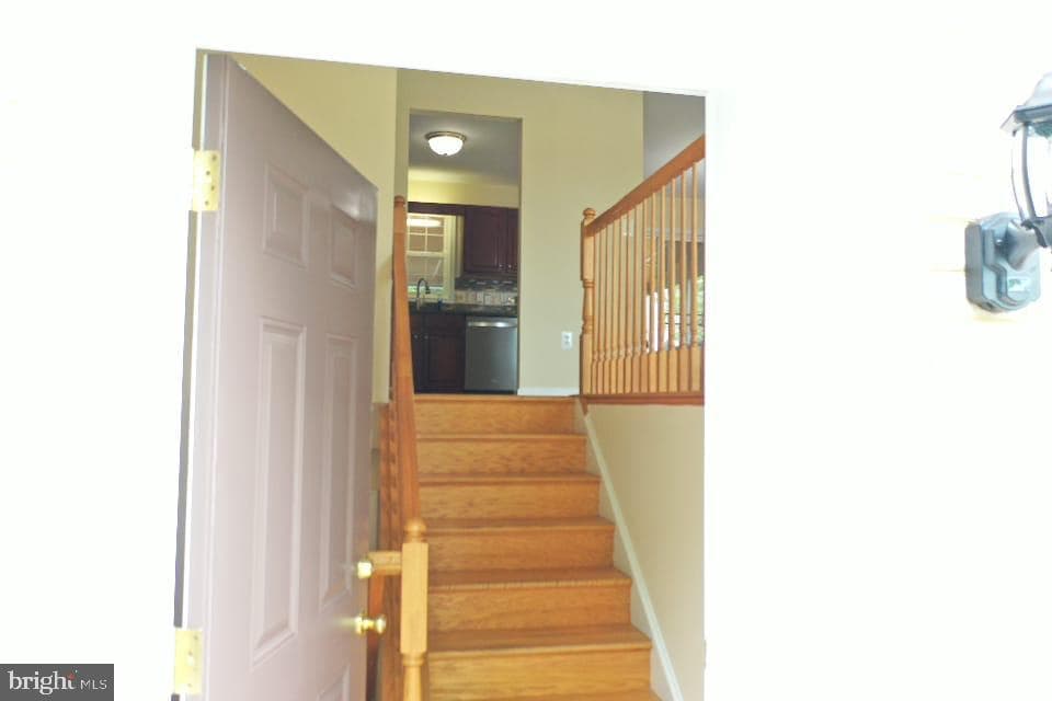 13107 Hyacinth Court Court photo 12