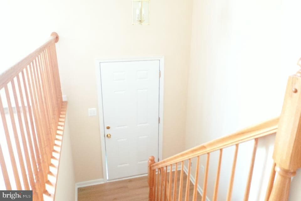 13107 Hyacinth Court Court photo 16