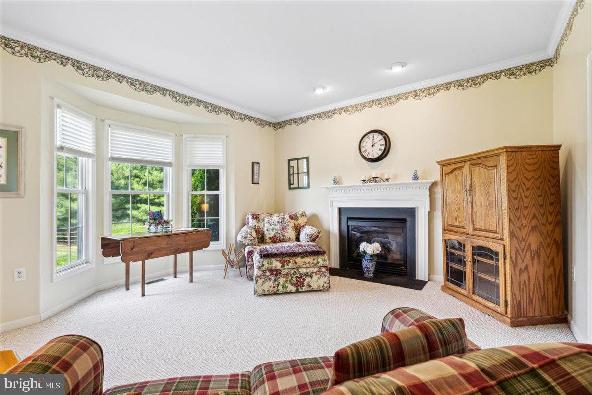 20376 Splendor View Terrace photo 29
