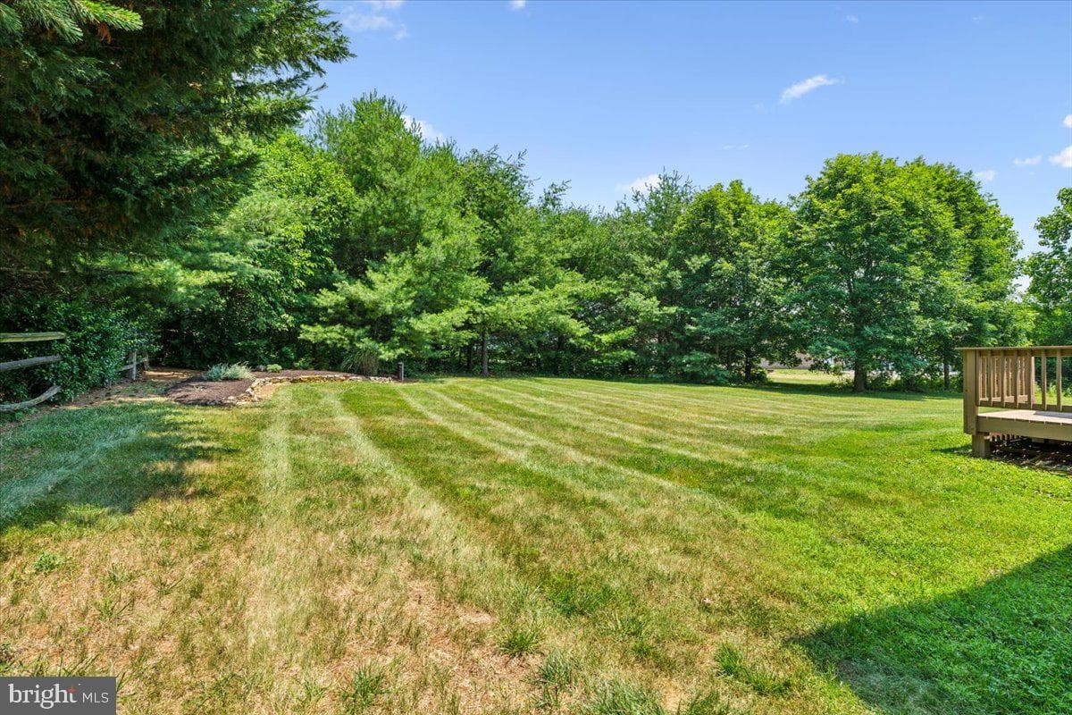 20376 Splendor View Terrace photo 5