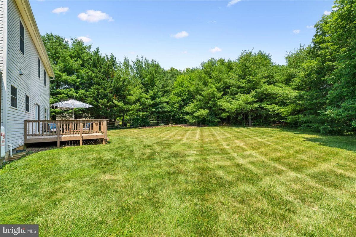 20376 Splendor View Terrace photo 6