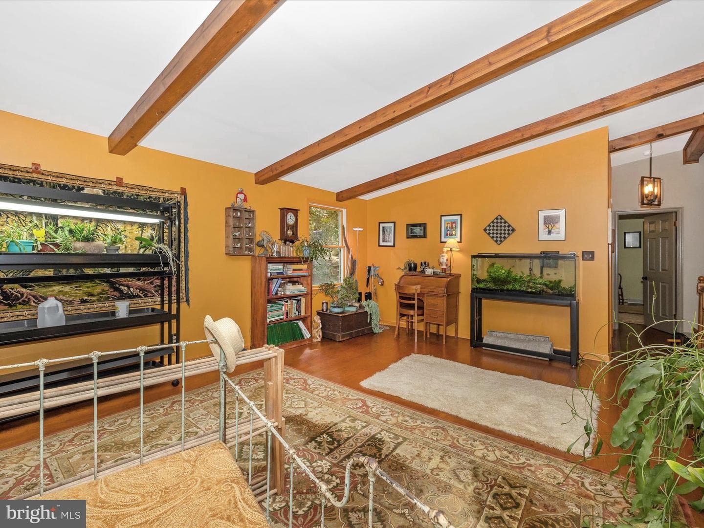 11733 Crystal Falls Drive photo 31