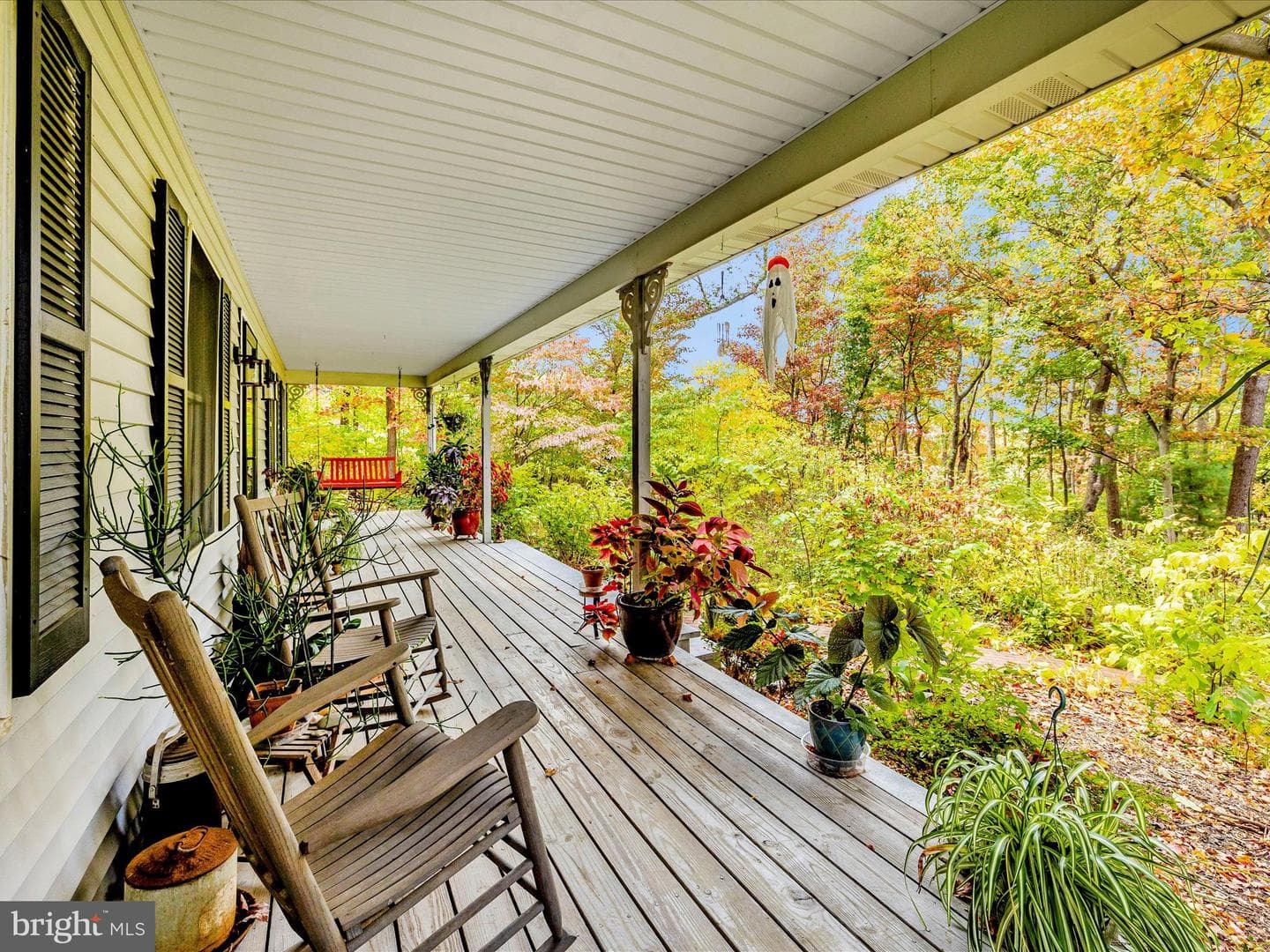 11733 Crystal Falls Drive photo 4