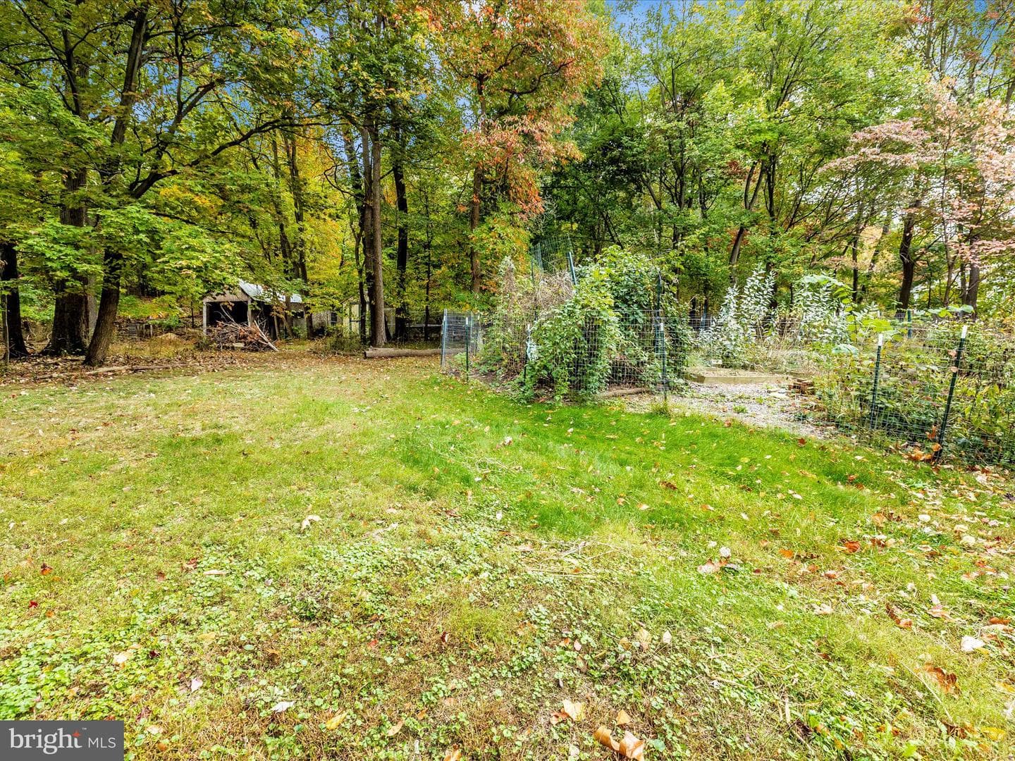 11733 Crystal Falls Drive photo 40