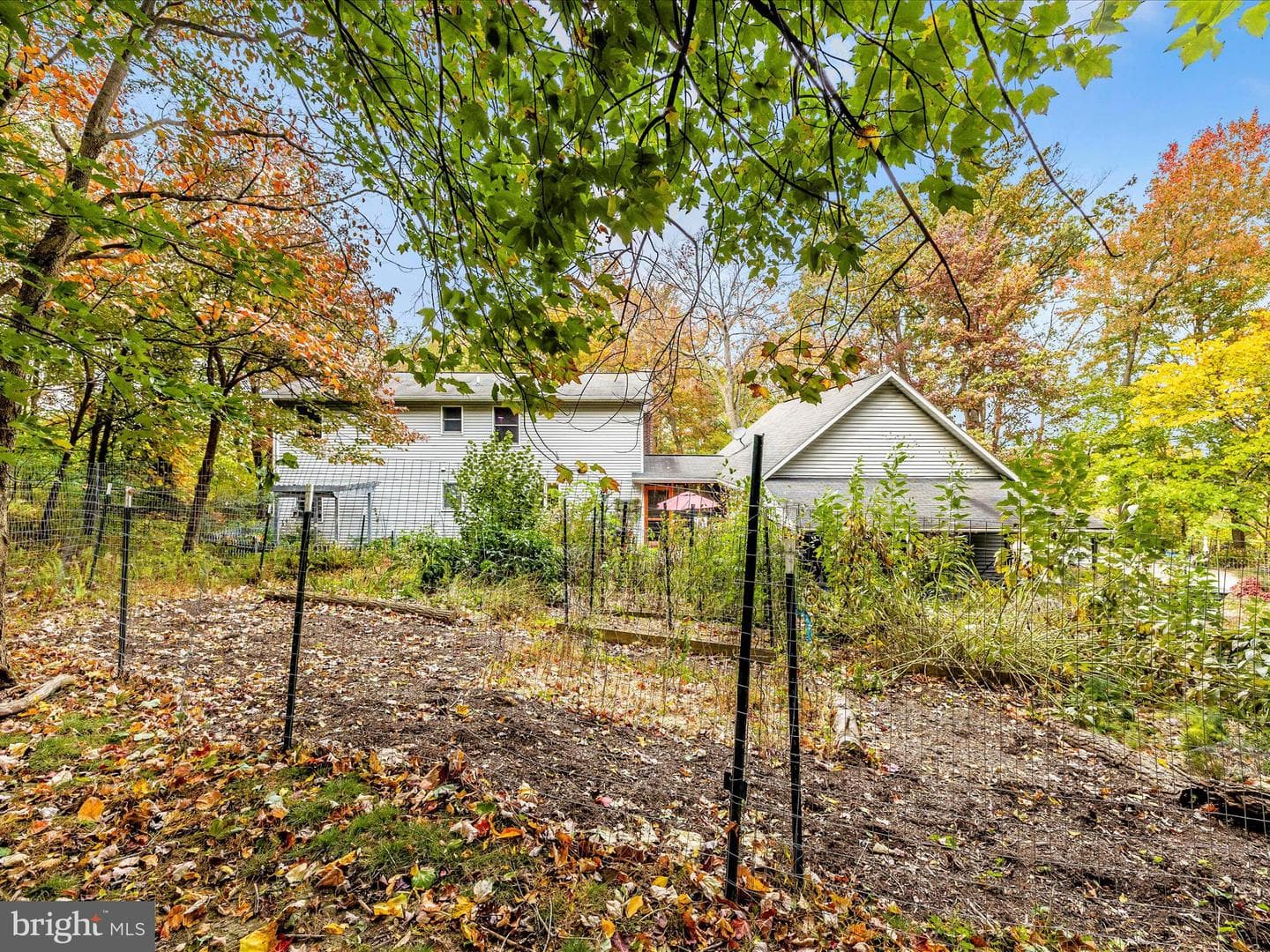 11733 Crystal Falls Drive photo 42