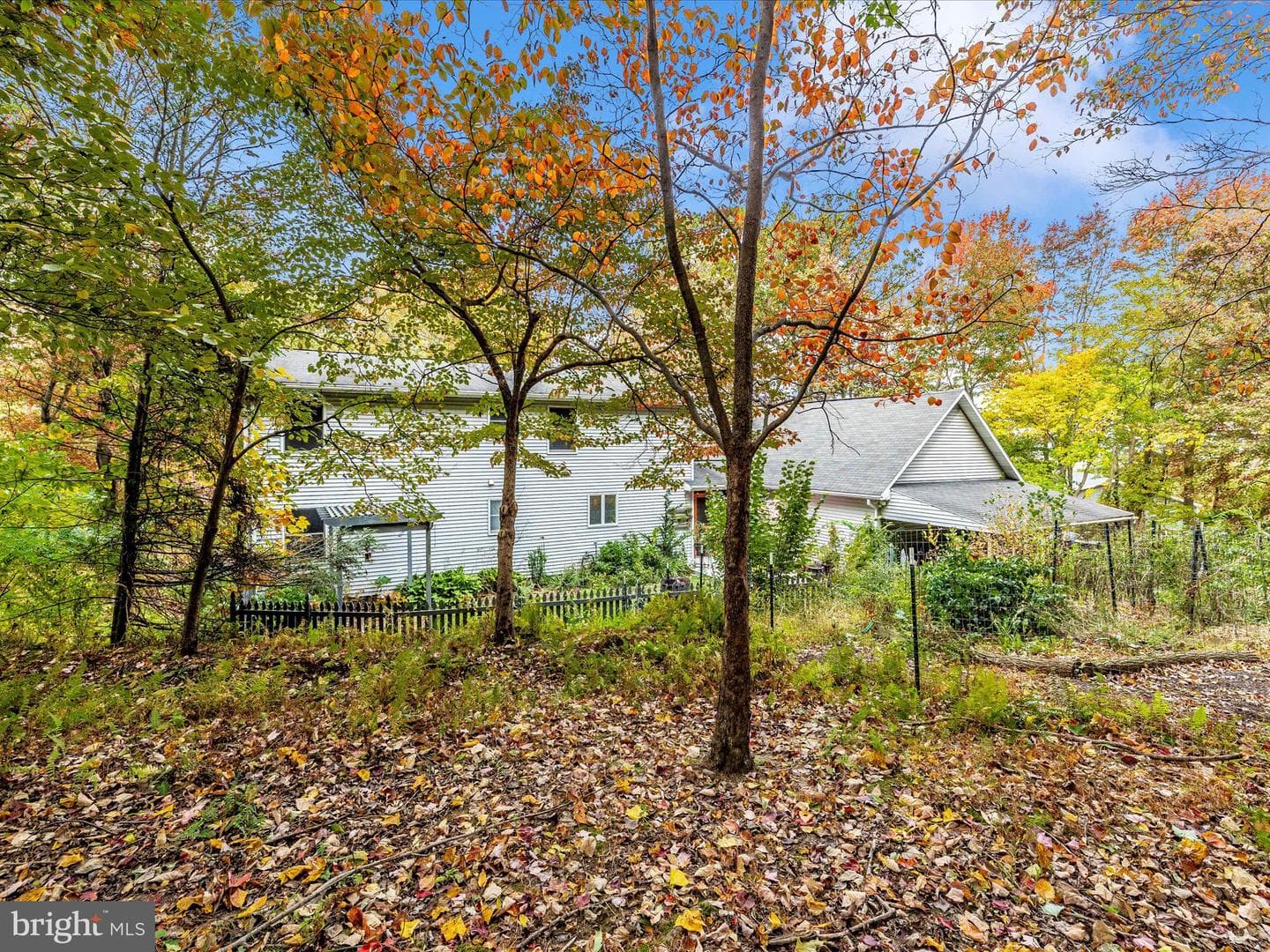 11733 Crystal Falls Drive photo 43