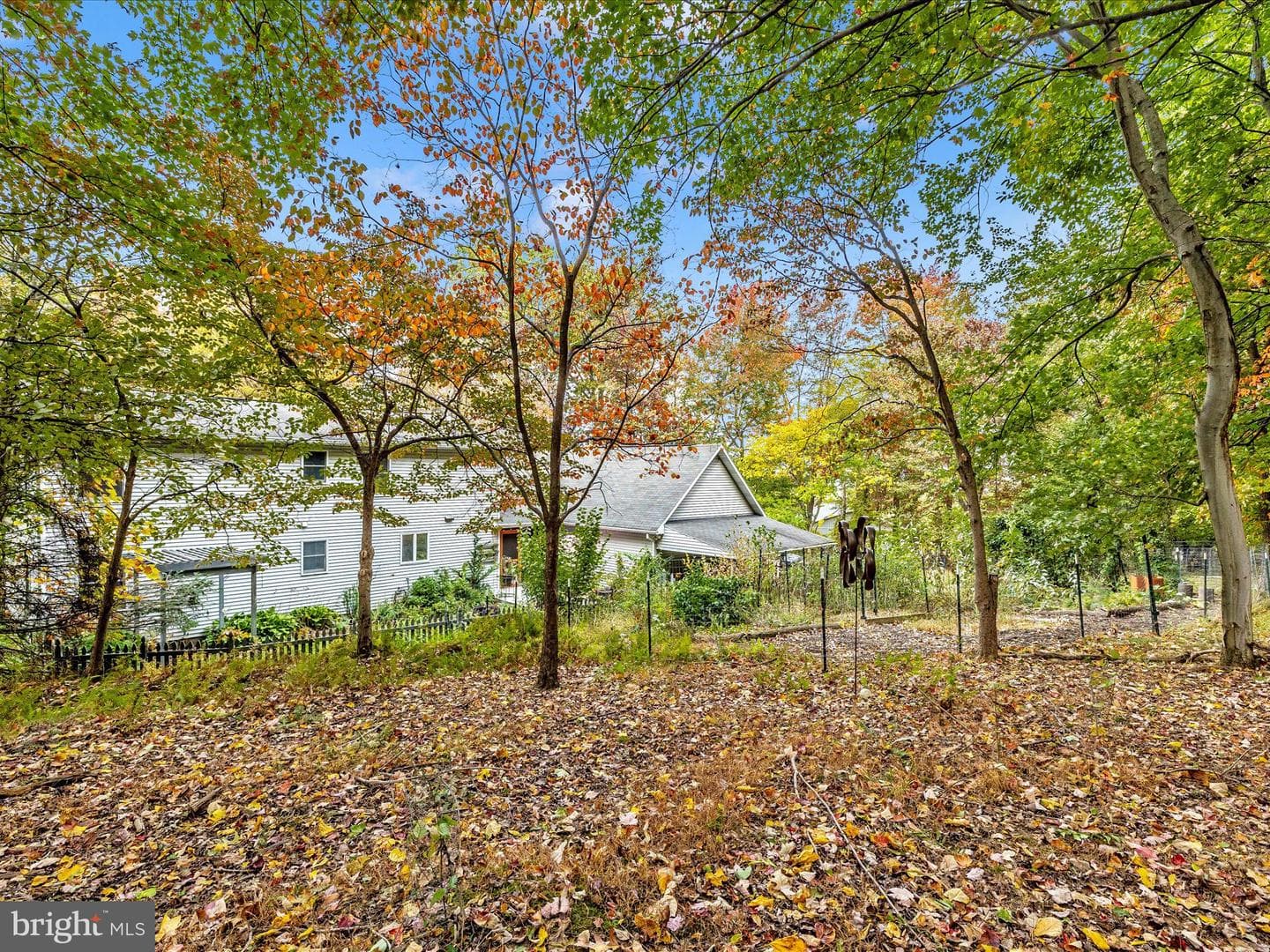 11733 Crystal Falls Drive photo 44