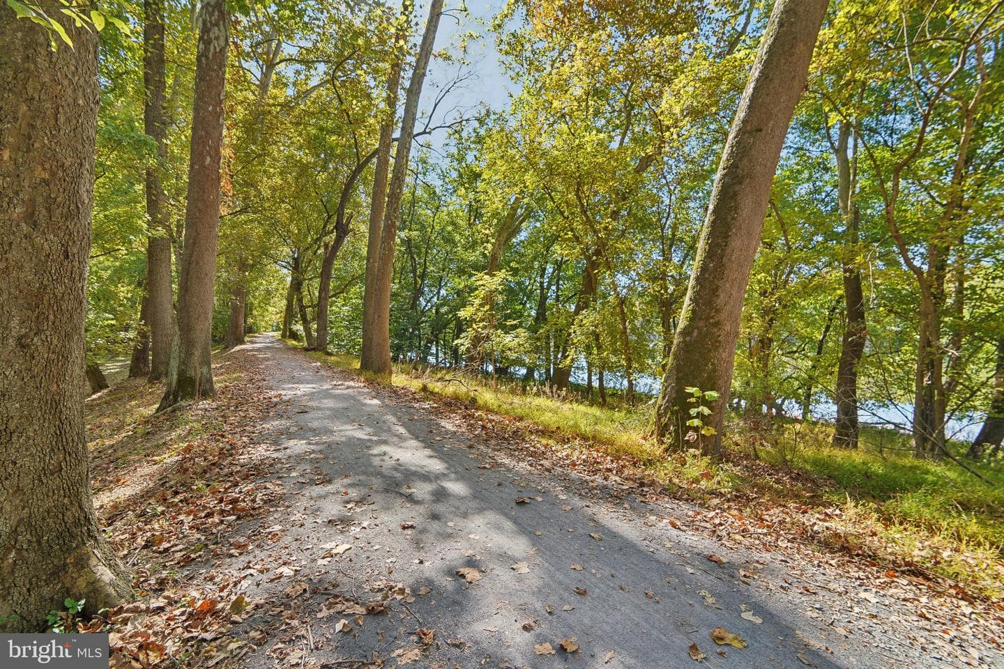 2229 Back Road photo 58