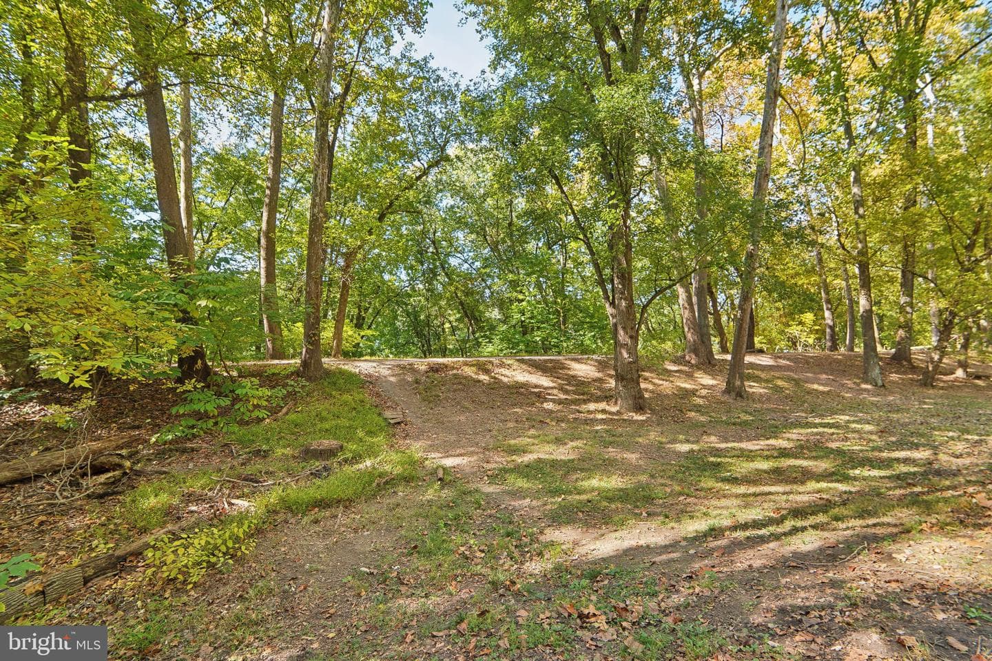 2229 Back Road photo 59