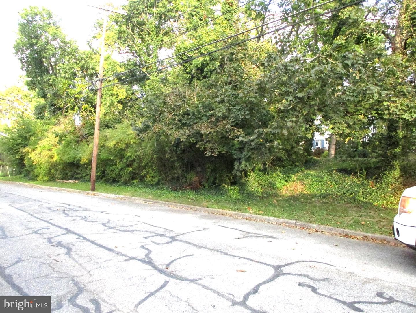 903 Woodland Way photo 33