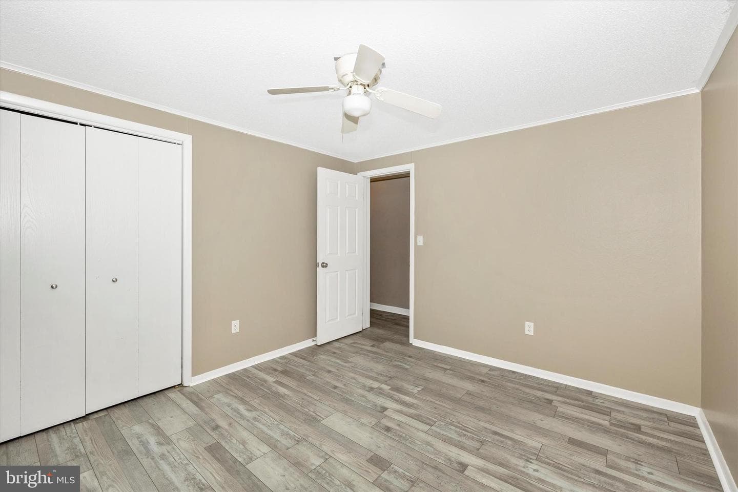 206 Carroll Avenue photo 31