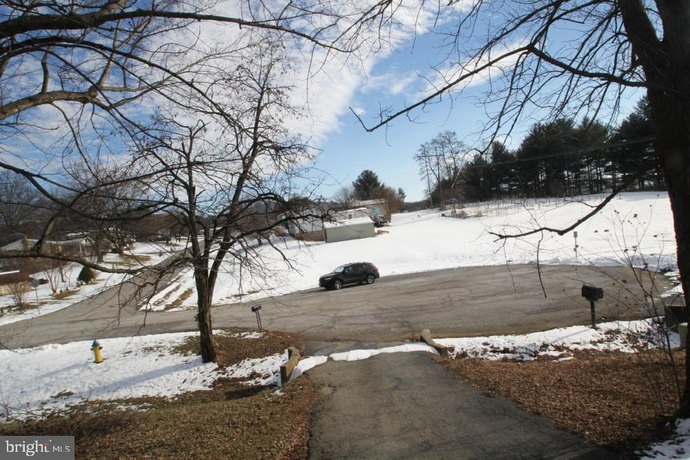 206 Carroll Avenue photo 52