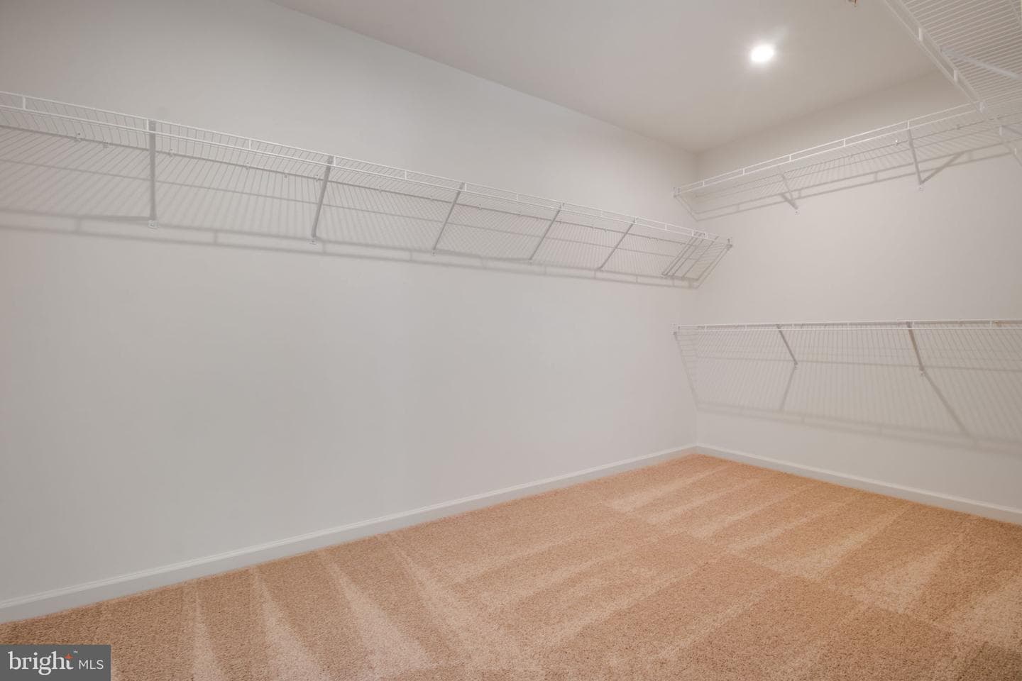 9343 Alloway Drive photo 56