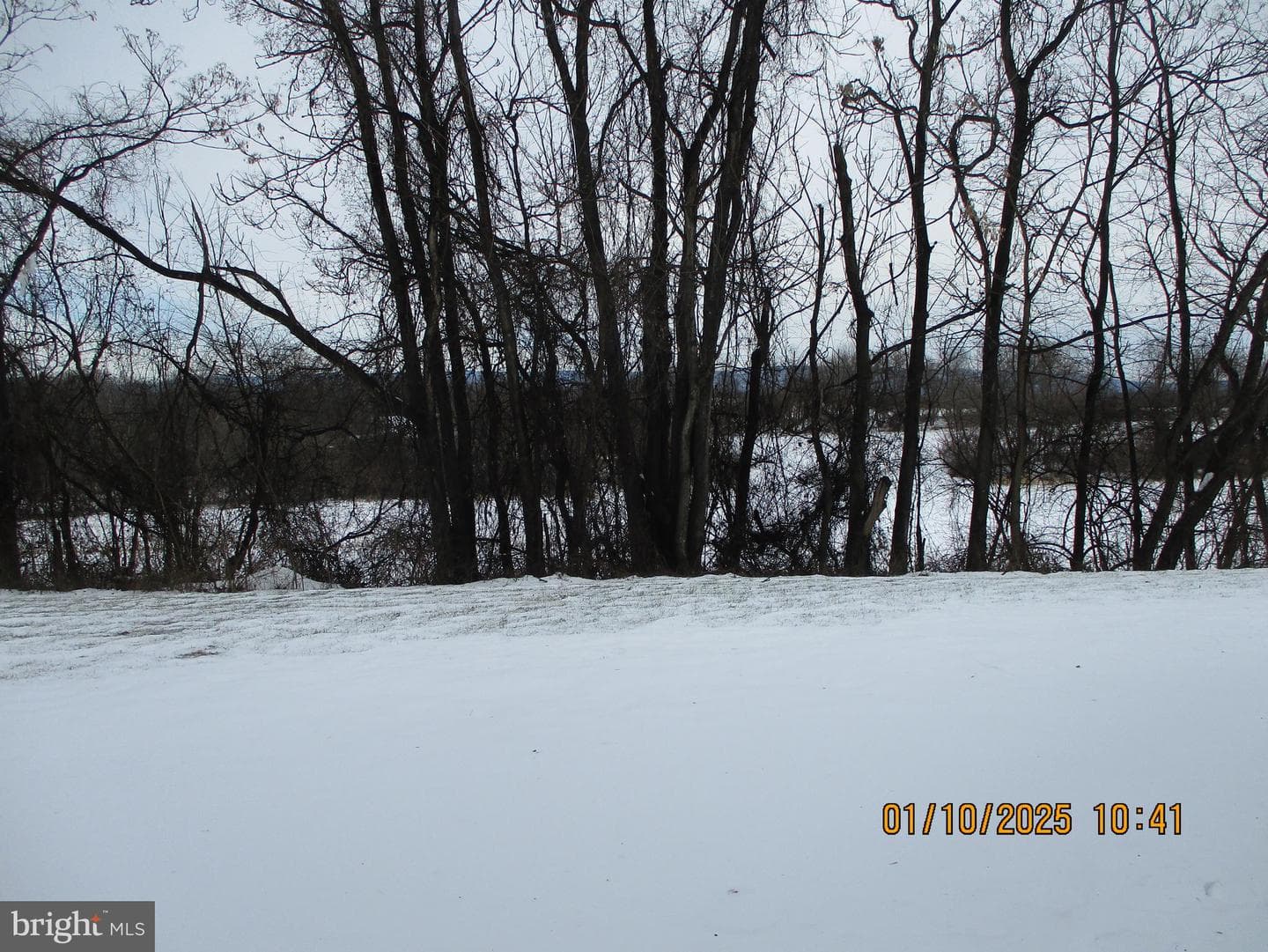 10351 Lantern Lane photo 22