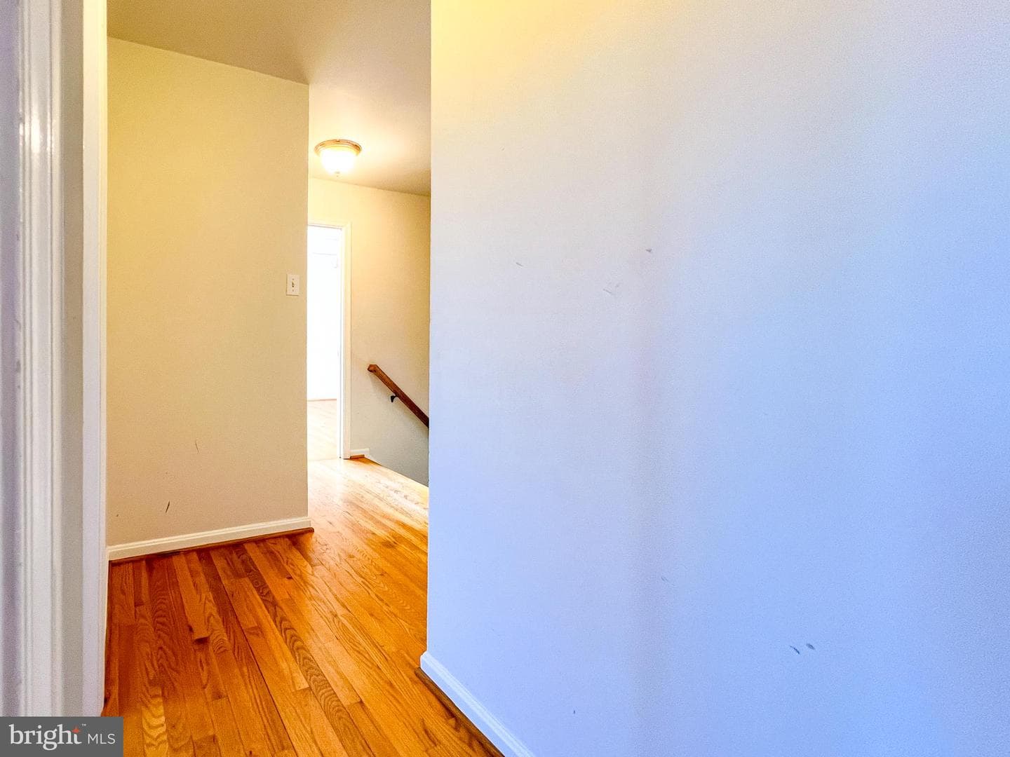 430 Westminster Court photo 46