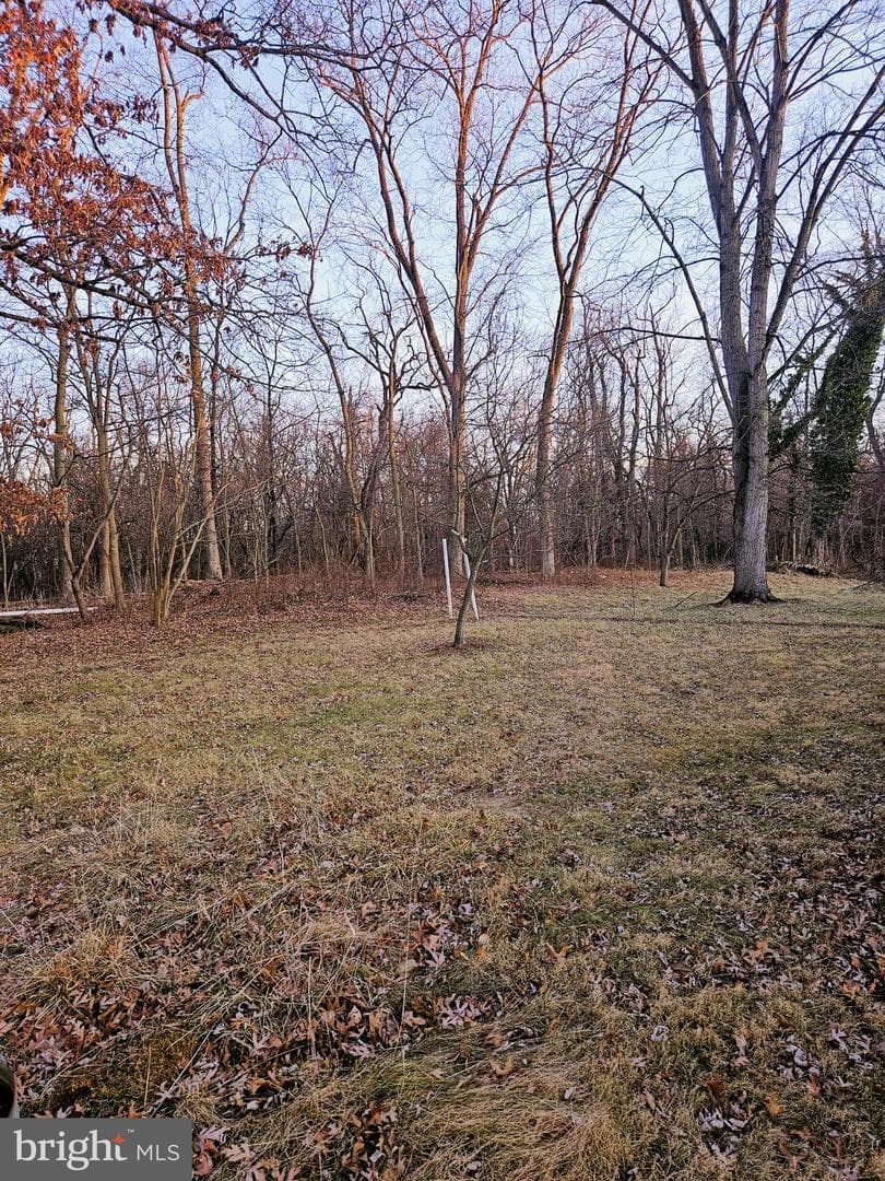 20807 Emerald Drive photo 4